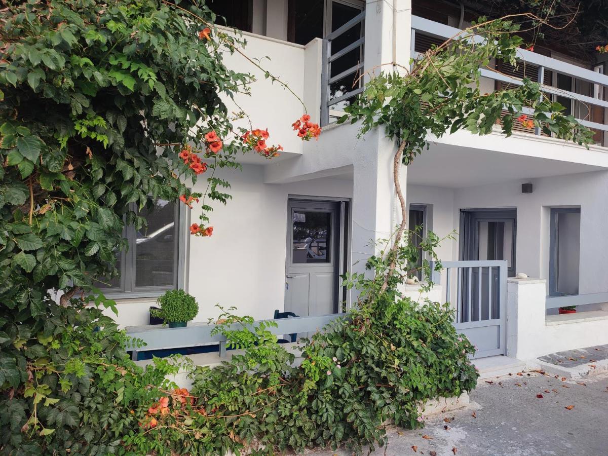 Charming Cozy Suites Naxos City 外观 照片